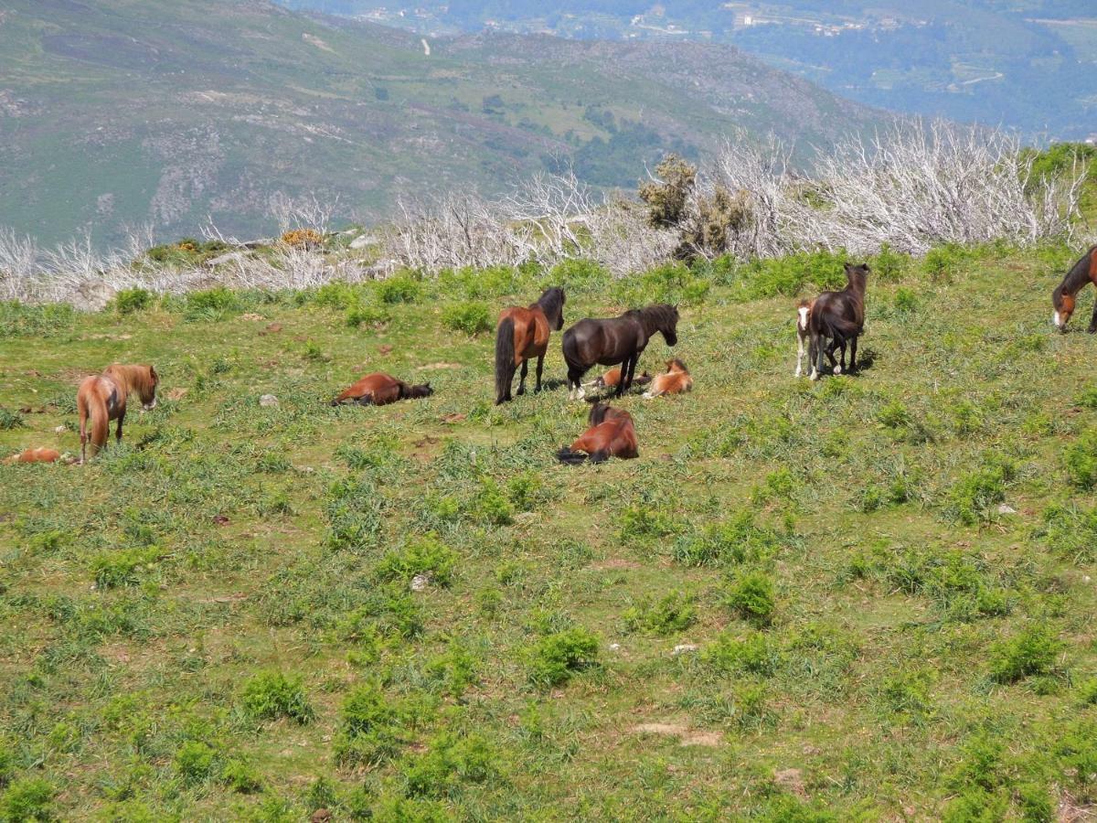 Casa Tritao Villa Campo do Geres Eksteriør bilde